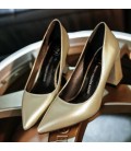 Simple Pointed shoes thick High heels Women's Shoes