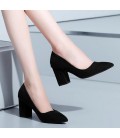 Lady Shoes Womens Poined Toe Pumps