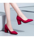 Lady Shoes Womens Poined Toe Pumps