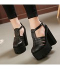 Summer Fashion High Platform Sandals Women Shoes