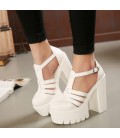 Summer Fashion High Platform Sandals Women Shoes
