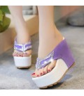 Woman Shoes Thick Bottom Platform Wedge Heel