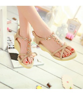 Women's Shoes Heel Wedges / Peep Toe / Platform Sandals