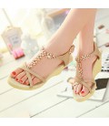 Women's Shoes Heel Wedges / Peep Toe / Platform Sandals