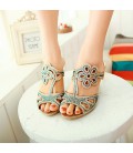 Women's Shoes Heel Wedges / Heels / Peep Toe / Slippers Sandals