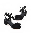 Women's Shoes Chunky Heel Peep Toe / Open Toe Sandals Dress