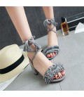 Women's Shoes Chunky Heel Peep Toe / Open Toe Sandals Dress