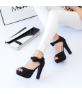 Summer women shoes Peep toe Ankle strap high heel Sandals