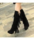 Women's Boots Embroidered Shoes Fabric Fall Winter