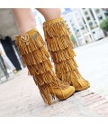 Women's Boots Embroidered Shoes Fabric Fall Winter