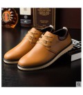 Men's casual shoes mens Korean winter 2017 all-match male shoes with cashmere casual shoes
