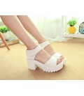 Women Summer fashion platform soft PU sandals