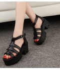 Summer Platform Chunky Pure Buckle Leather High Sandals
