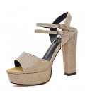 Women's Shoes Glitter Spring Summer Gladiator Sandals Chunky Heel