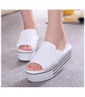 Women's Shoes Fabric Summer Comfort Slippers