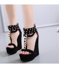 Women's Shoes PU(Polyurethane) Fall & Winter Comfort / Novelty Sandals 