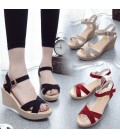 Women's Shoes Rubber Spring Comfort Sandals Wedge Heel Black