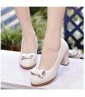 Women's Shoes PU(Polyurethane) Spring Comfort / Basic Pump Heels 